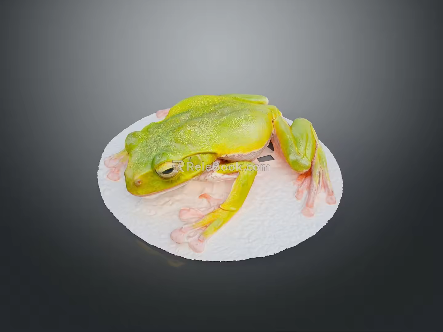 Frog Poison Frog Game Frog Reptile Cold Blooded Animal Reptile 3d model