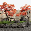 Red maple landscape tree courtyard sketch landscape stone 3d model