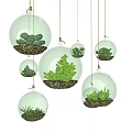 Transparent Glass Spherical Hanging Planters with Succulent Plants for Modern Home Decor
