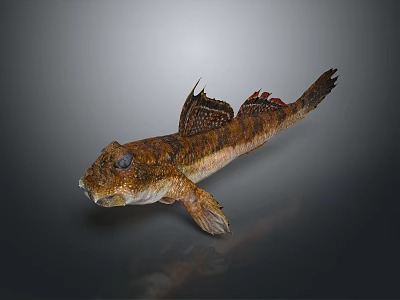 Creative Fish Shaped Home Decor Ornament With Realistic Design Details 3d model