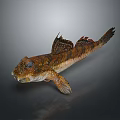 Creative Fish Shaped Home Decor Ornament With Realistic Design Details