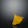 Golden Ginkgo Leaf With Visible Veins Isolated On Dark Background Surface