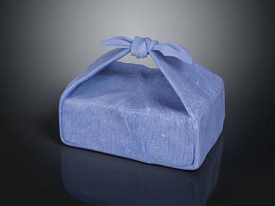 Blue Fabric Storage Pouch Featuring Bow Knot Design For Daily Essentials 3d model