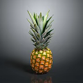 Fresh Ripe Pineapple With Green Leaves And Yellow Skin On Dark Background