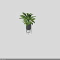 Lush Green Leaf Bonsai Potted Plant In Gray Pot With Black Metal Stand