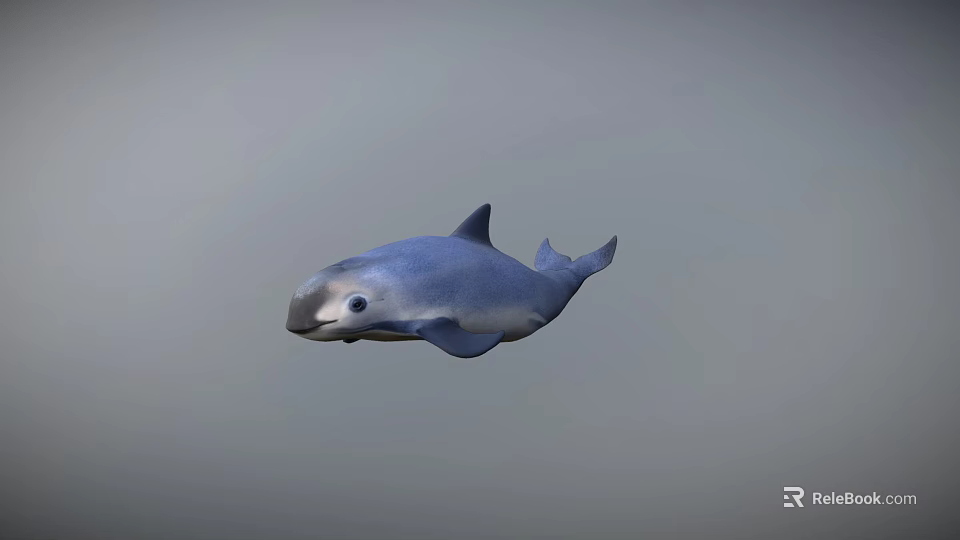 Cute Gray Dolphin Swimming Gracefully In Calm Water Environment 3d model 