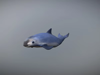 Cute Gray Dolphin Swimming Gracefully In Calm Water Environment 3d model