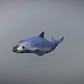 Cute Gray Dolphin Swimming Gracefully In Calm Water Environment