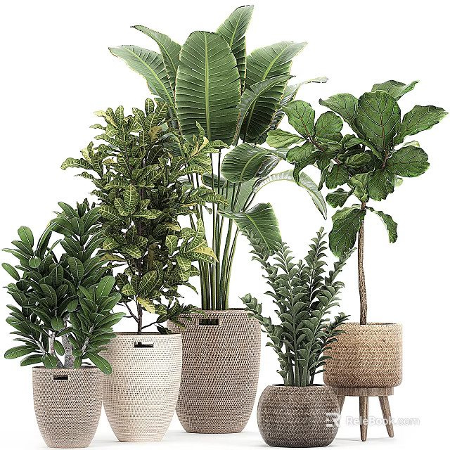 Various Green Potted Plants In Woven Baskets For Indoor Home Decor 3d model 