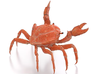 Vibrant Red Reptile With Clawed Limbs And Textured Exoskeleton On White Backdrop 3d model
