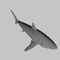 Realistic Shark Game Movie Character with Sharp Teeth and Streamlined Body