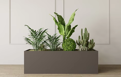Modern Flower Box Green Plant Bonsai 3d model
