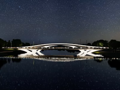 Illuminated Modern Bridge Under Starry Night With Water Reflection And Trees 3d model