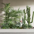 Garden Decorative Setup With Various Green Plants Palm Cactus And Small Statue In White Planter