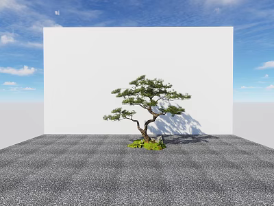 Modern landscape tree welcome pine tree tree plant 3d model