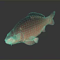 Aquatic Animal Red Fish Featuring Shiny Scales Prominent Fins And Bright Eyes