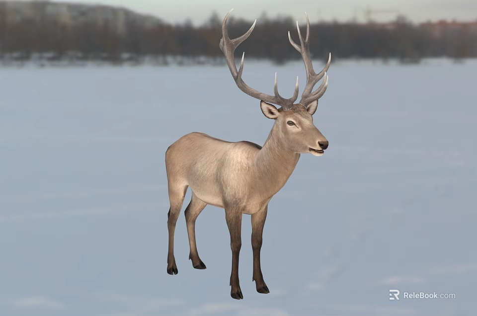 Reptile Lizard Standing On Snowy Ground In Natural Winter Habitat 3d model 