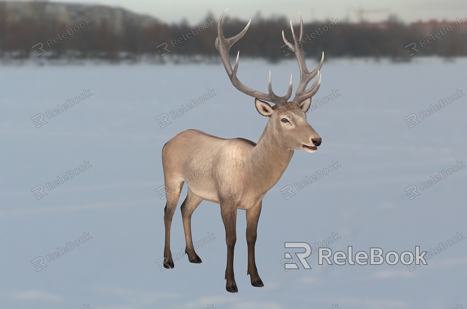 Twin Peaks Deer Animal Creatures model