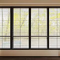 Floor to Ceiling Windows with Blinds and Curtains Showing Green Trees Outside