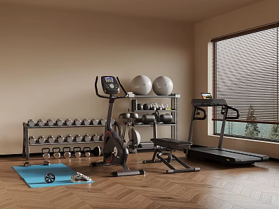Home Gym Sports Equipment Including Exercise Bike Dumbbell Rack Treadmill Exercise Balls And Yoga Mat 3d model