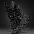 Cream Colored Dried Pampas Grass And Palm Leaves In Black Vase Decor