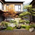 Japanese style Courtyard Garden With Orange leaved Tree Pine Tree Stones Moss And Wooden Deck