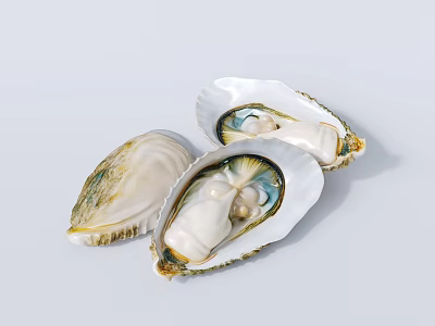 Fresh Opened Oysters With Plump Meat In Natural Shells On White Background 3d model
