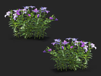 Two Clusters of Purple and White Flowers with Lush Green Leaves 3d model