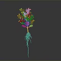 Plant Organ Structure With Root Hairs Yellow Flowers Stem And Leaves