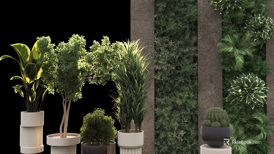 Bonsai Potted Plants With Various Greenery In Decorative Pots And Stone Pillars 3d model 