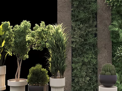 Bonsai Potted Plants With Various Greenery In Decorative Pots And Stone Pillars 3d model