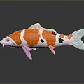 Orange White and Black Koi Fish With Reflection on Dark Surface 3d model