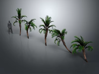 Multiple Green Palm Trees In Different Heights With Human Figure For Scale 3d model