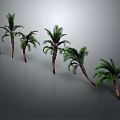 Multiple Green Palm Trees In Different Heights With Human Figure For Scale 3d model