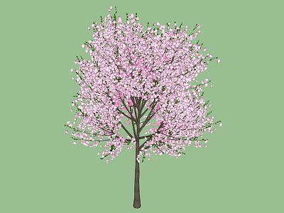 Lush Tree With Abundant Pink Blossoms And Dark Trunk On Green Background 3d model