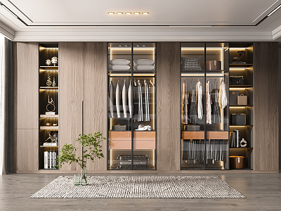 Modern wardrobe 3d model