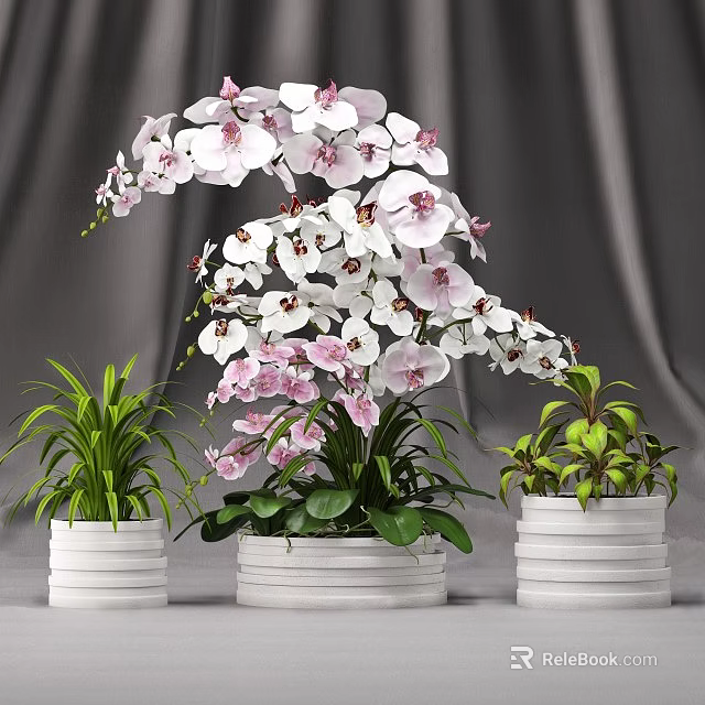 Beautiful Bonsai Potted Plants with White Pink Orchid Flowers Green Leaves and White Pots 3d model 