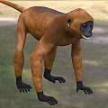 Brown Reptile With Long Tail And Black Claws In Natural Grass Habitat
