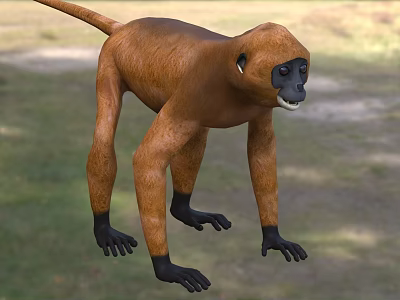 Brown Reptile With Long Tail And Black Claws In Natural Grass Habitat 3d model