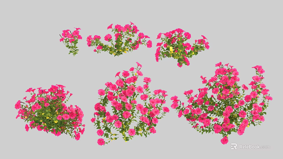 Multiple Vibrant Pink Flower Bushes With Dense Blooms On Gray Background 3d model 
