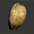 Shiny Yellow Shell Shaped Decorative Household Item With Textured Surface For Home Decoration