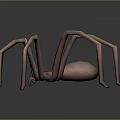 Realistic 3D Spider Model With Long Thin Legs And Detailed Brown Body