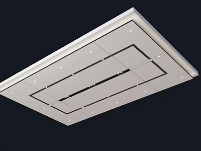 White Ceiling Design With Square Panels Black Lines And Recessed Lights 3d model