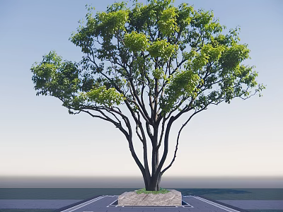 Arbor With Lush Green Leaves Dark Trunk On Stone Base Blue Sky 3d model