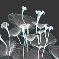 Lush Aquatic Plants Featuring Large Green Leaves And White Blooming Flowers