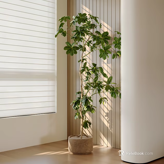 Tall Indoor Potted Plant In Corner With Window Blinds Wooden Wall And Sunlight Shadows 3d model 