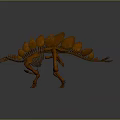 Modern Skeleton Stegosaurus Skeleton Stegosaurus Skeleton 3d model