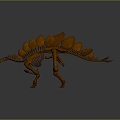 Modern Skeleton Stegosaurus Skeleton Stegosaurus Skeleton 3d model