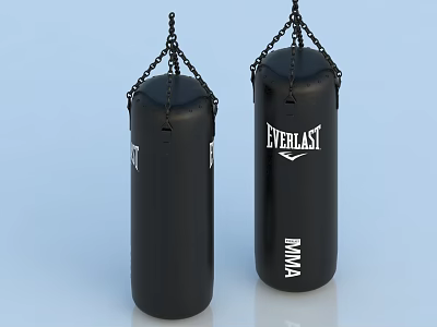 Two Black Punching Bags Featuring TITLE EVERLAST Logos For MMA Training 3d model