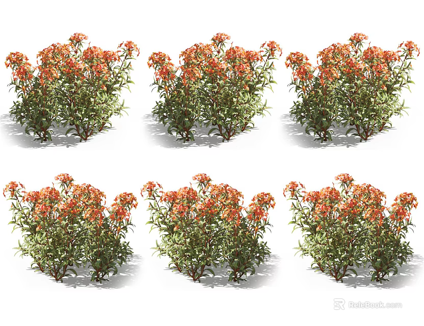 Orange Red Flower Shrubs With Dense Blooms Multiple Clusters Two Bushes Each And Green Leaves 3d model 
